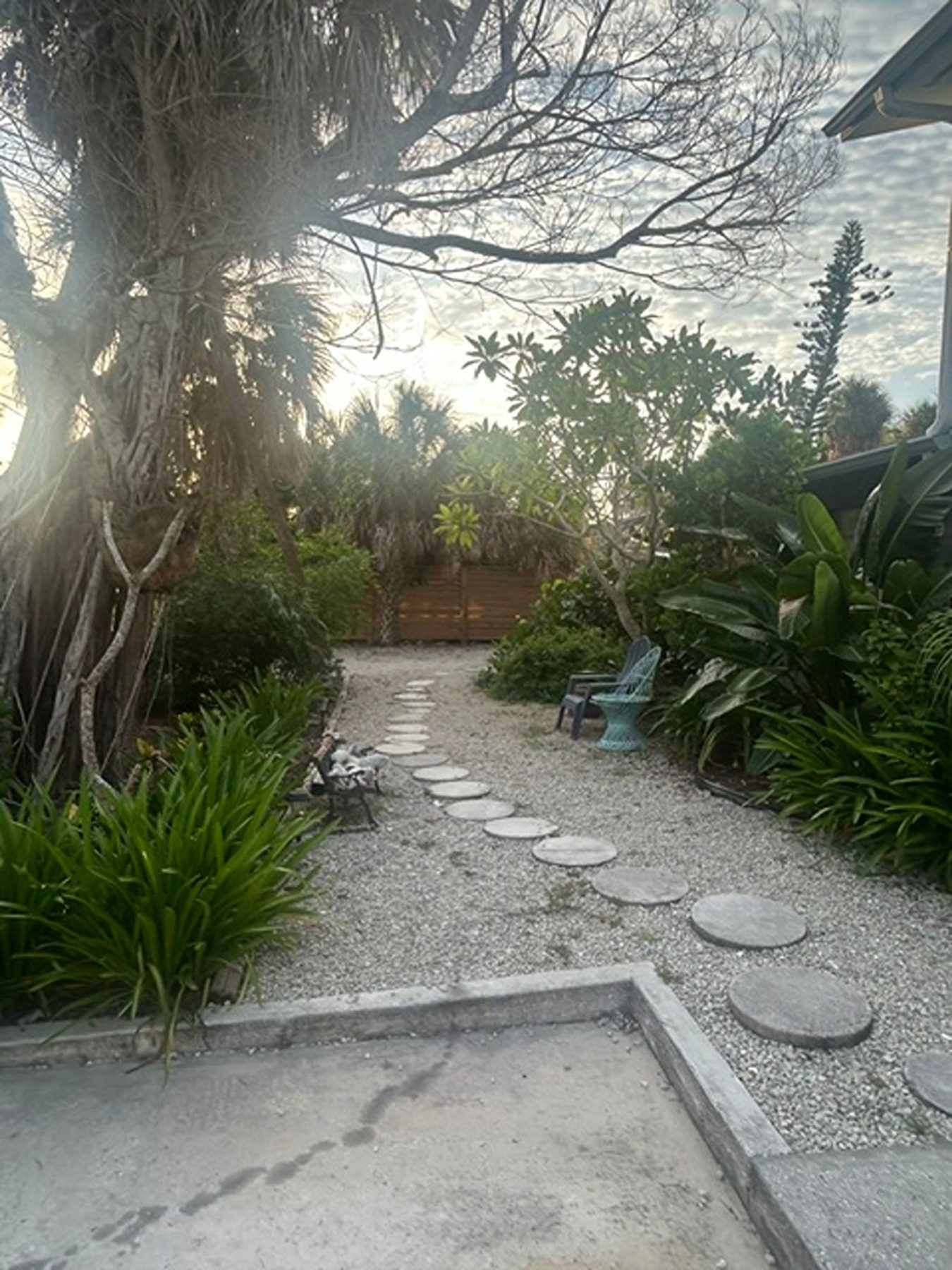 Stepping-stone path leading through the shaded garden at Gecko House