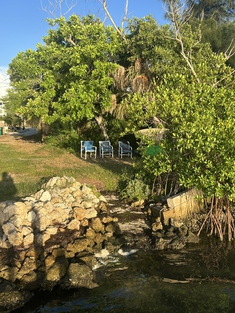 The kayak launch area on the Lemon Bay shoreline at Gecko House