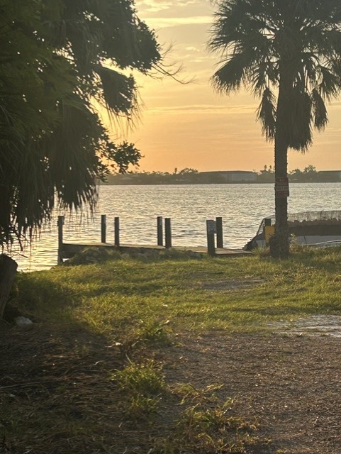 Bayfront lawn and private dock at Gecko House in early morning light