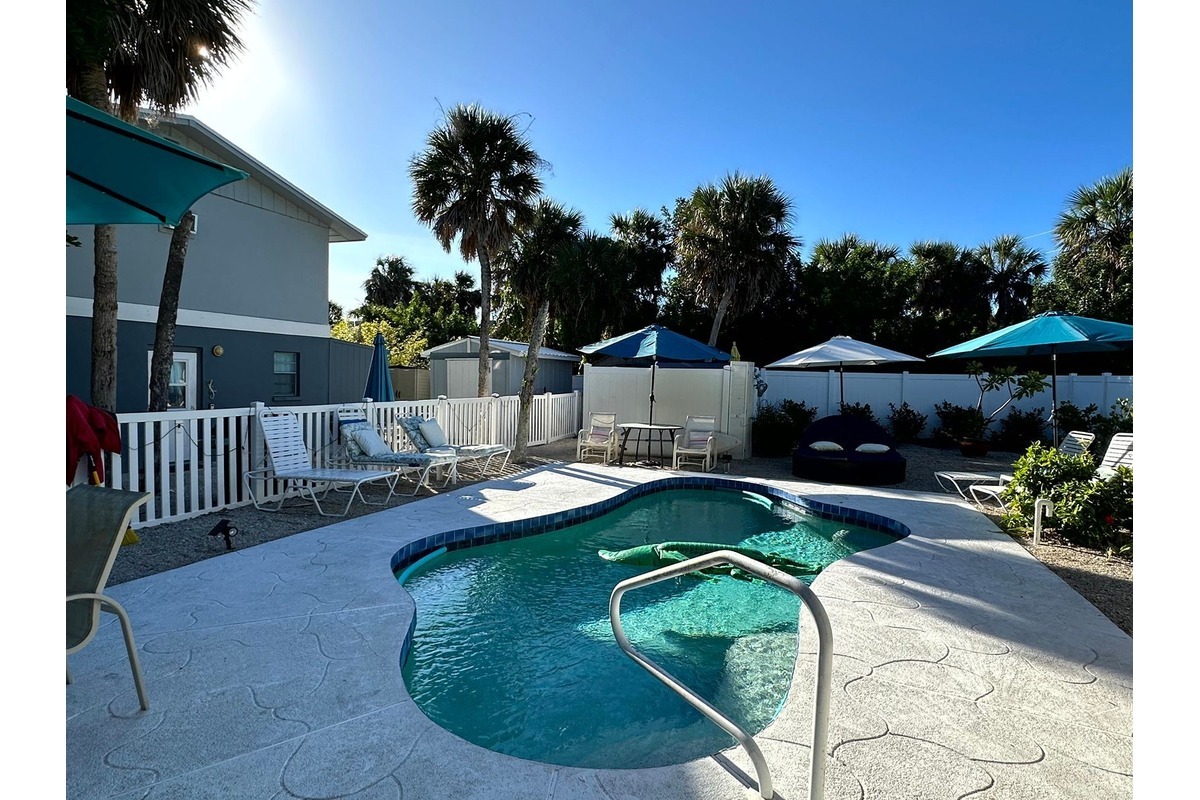 The shared pool at Gecko House framed by palms and teal umbrellas